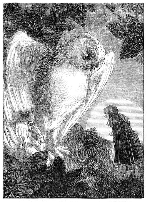 A girl wearing a cape and a hood talks to a boy sitting under the wing of a giant, white, and suspicious owl. 